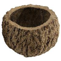 View 3"-4" Natural Preserved Mayan Coconut (10 pack)