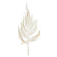 Vickerman 10"-24" Dried Bleached Miniera Fern (14 stems)