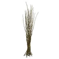 View 35"-40" Basil Dried Moneta Branches