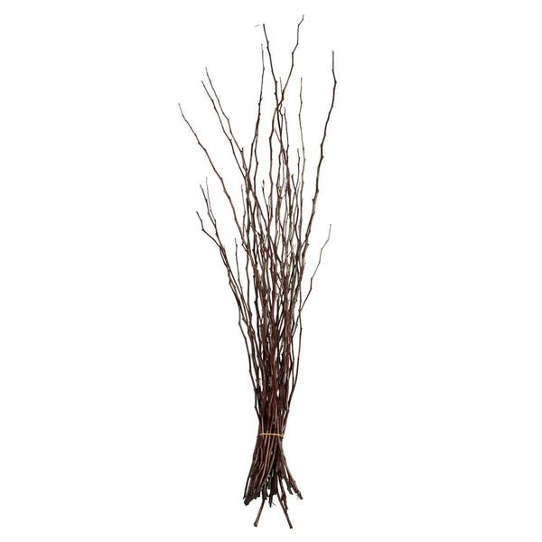35"-40" Brown Dried Moneta Branches (2 8oz bundles)