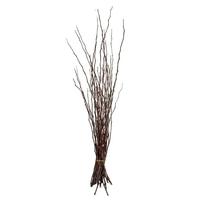 Vickerman 35"-40" Brown Dried Moneta Branches