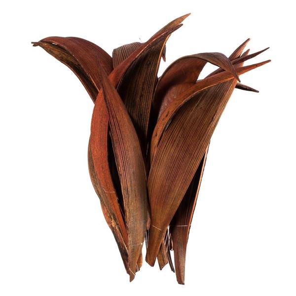 6"-12" Dark Brown Preserved Palm Paddles (20-25 pieces)