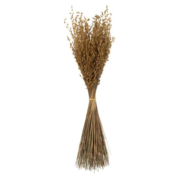30" 21oz Natural Dried Princess Grass Bundle (3 7oz bundles)