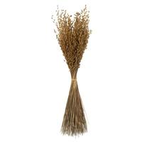 View 30" 21oz Natural Dried Princess Grass Bundle (3 7oz bundles)