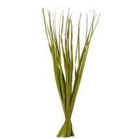 Vickerman 36"-40" 7oz Basil Dried Rush Grass Bundle