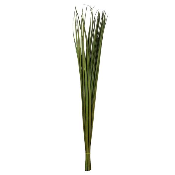 36"-40" 7oz Green Dried Sable Grass Bundle