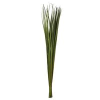 Vickerman 36"-40" 7oz Green Dried Sable Grass Bundle