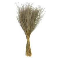Vickerman 14"-20" 9oz Natural Dried Snowdrop Grass Bundle (3 3oz bundles)