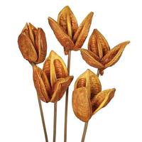 View 16" Aspen Gold Preserved Sora Pod Stems (5 pack)
