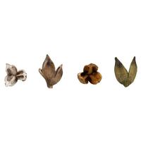 Vickerman 3"-4" Assorted Preserved Sora Pods (25 pack)