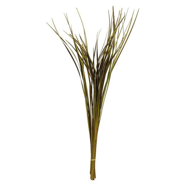 28"-36" 22oz Basil Dried Splinter Grass Bundle (2 11oz bundles)