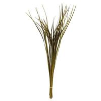 Vickerman 28"-36" 11oz Basil Dried Splinter Grass Bundle