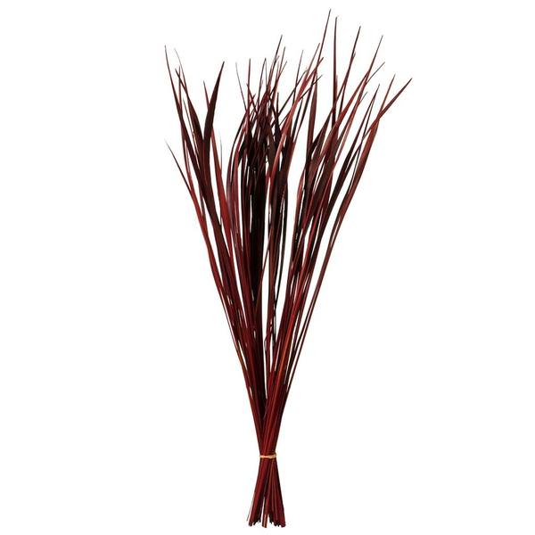 28"-36" 11oz Red Dried Splinter Grass Bundle