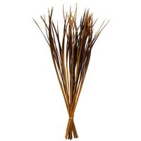 Vickerman 28"-36" 11oz Aspen Gold Dried Splinter Grass Bundle