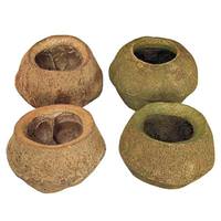 Vickerman 4"-6" Basil Preserved Sapa Pod (3 pack)