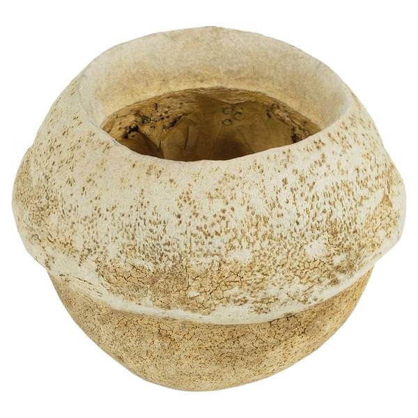 4"-6" Bleached Preserved Sapa Pod