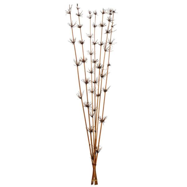 36-40" Brown Star Bamboo Reed Bundle (14 Pack)