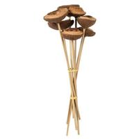 View 15" Natural Preserved Tigela Pod Stem Bundle (7 pack)
