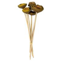 Vickerman 15" Basil Preserved Tigela Pod Stem Bundle (24 pack)