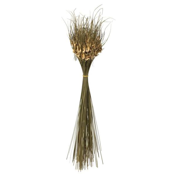 26" 16oz Natural Dried Tulip Star Bundle (4 4oz bundles)