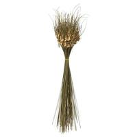 Vickerman 26" 16oz Natural Dried Tulip Star Bundle (4 4oz bundles)