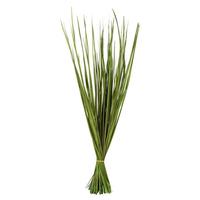 Vickerman 28"-32" 12oz Basil Dried Wild Flax Grass Bundle (3 4oz bundles)