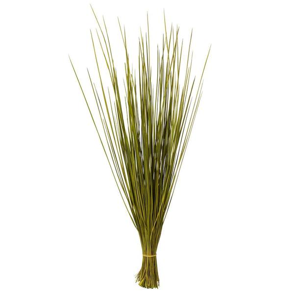 24"-30" 8oz Basil Dried Whip Grass Bundle