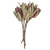 View 16-22" Natural Pink Cotton Phylica Bundle
