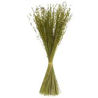 Vickerman 30" 21oz Basil Dried Princess Grass Bundle (3 7oz bundles)