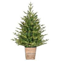 Vickerman 3' x 30" Artificial Gifford Pine 100 Warm White Lights Artificial Christmas Tree