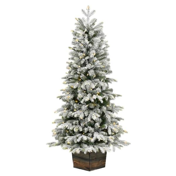 5.5' x 32" Artificial Frosted Wendell Pine 200 Warm White Lights Christmas Tree