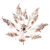 View 16" x 22" Champagne Velvet Sequin Poinsettia