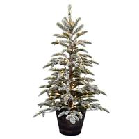 Vickerman 4' x 30" Flocked Clearwater Pine Pine 150 Warm White Lights Artificial Christmas Tree