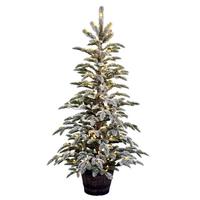 Vickerman 5' x 34" Artificial Clearwater Pine 250 Warm White Christmas Tree