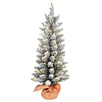 Vickerman 3' x 16" Artificial Flocked Norris Pine 50 Warm White Lights Christmas Tree