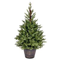 Vickerman 4' x 28" Artificial Potted Reeder Pine Unlit Christmas Tree