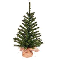 Vickerman 24" x 14" Artificial Wolf Creek Pine 20 Warm White Lights Artificial Christmas Tree