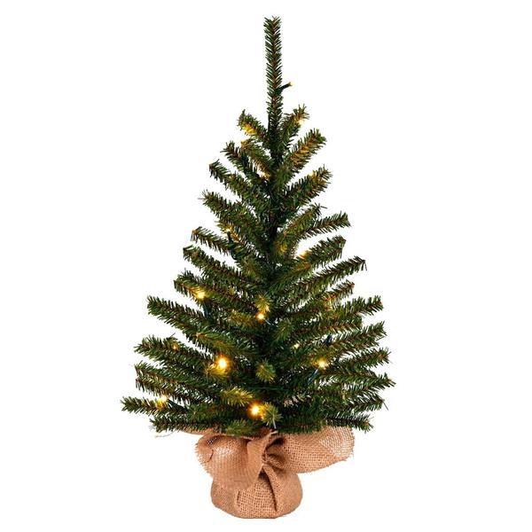 24" x 14" Wolf Creek Pine 20 Warm White Lights Artificial Christmas Tree