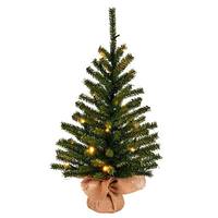 Vickerman 24" x 14" Wolf Creek Pine 20 Warm White Lights Artificial Christmas Tree