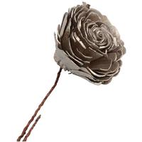 Vickerman 2"-6" White Champagne Preserved Sola Rose (23 pack)