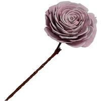 Vickerman 2"-6" Pink White Preserved Sola Rose (23 pack)