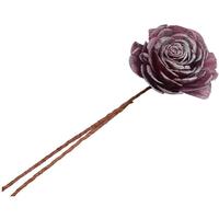 Vickerman 2"-6" Frosted Silver Preserved Sola Rose (23 pack)