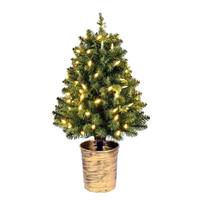 Vickerman 26" Artificial Potted Cone Topiary 100 Warm White Lights Artificial Tree