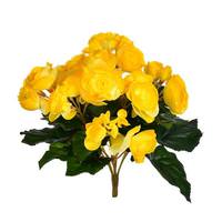 View 9.5" Artificial Yellow Begonia Bush
