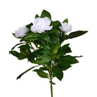 Vickerman 14.5" Artificial White Gardenia Bush