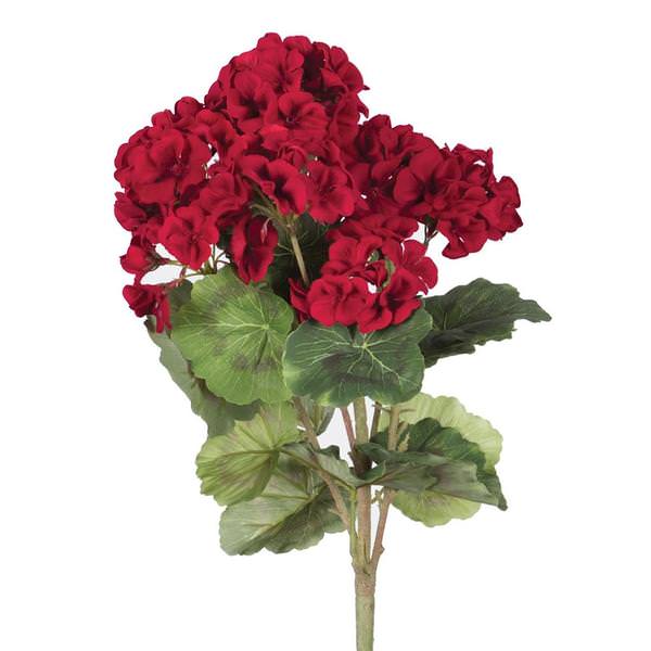 18" Red Geranium Bush (4 Pack)