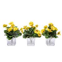 Vickerman 7" Artificial Yellow Pansy Bush in Glass Cube (3 Pack)