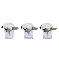 Vickerman 7" Artificial Cream and Pink Peony in Glass Cube (3 Pack)