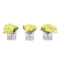 Vickerman 8" Artificial Light Olive Hydrangea in Glass Cube (3 Pack)