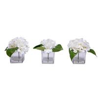 Vickerman 8" Artificial White Hydrangea in Glass Cube (3 Pack)